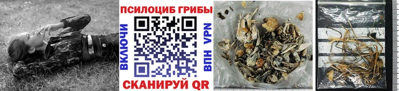 наркотики  Анжеро-Судженск  Галлюциногенные грибы ЛСД 